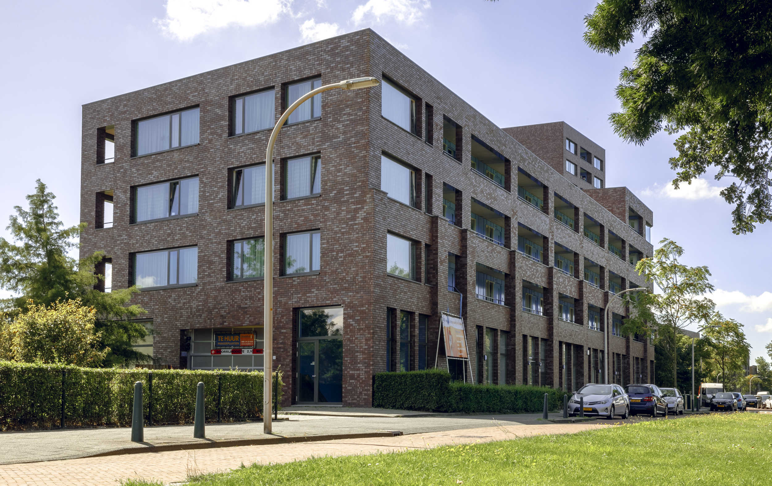Knobbelzwaansingel2.jpg
